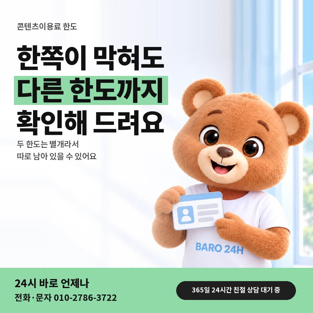 신분증을 든 BARO 24H 티셔츠를 입은 3D 곰 캐릭터 옆에 「콘텐츠이용료 한도도 함께」 제목을 얹은 안내 카드